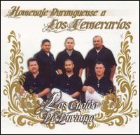 Los Cupidos de Durango - Homenaje Duranguense a los Temerarios lyrics