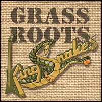 Chicago Kingsnakes - Grassroots lyrics