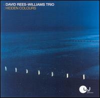 David Rees-Williams - Hidden Colours lyrics