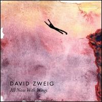 David Zweig - All Now with Wings lyrics
