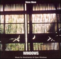 Steve Nieve - Windows lyrics