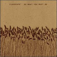 Flashpapr - Do What You Must Do lyrics