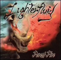Forest Fire - Lighter Fluid lyrics