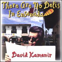 David Kamenir - There Are No Delis in Ensenada lyrics