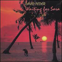David Feder - Waiting for Sara lyrics