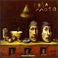 Rosa Mota - Wishful Sinking lyrics