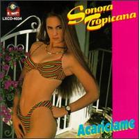 Sonora Tropicana - Acariciame lyrics