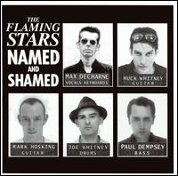 The Flaming Stars - Named and Shamed lyrics