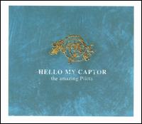 The Amazing Pilots - Hello My Captor lyrics