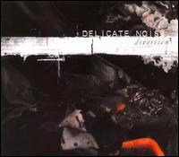 Delicate Noise - Diversion lyrics
