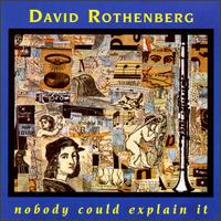 David Rothenberg - Nobody Could Explain It lyrics
