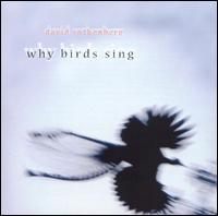 David Rothenberg - Why Birds Sing lyrics