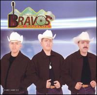 Los Bravos de Sinaloa - Los Tremendos lyrics
