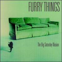 Furry Things - Big Saturday Illusion lyrics