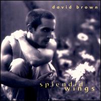 Dave Brown [Multi Inst] - Splendid Wings lyrics