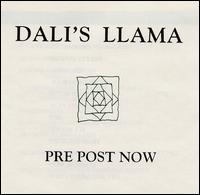 Dali's Llama - Pre Post Now lyrics