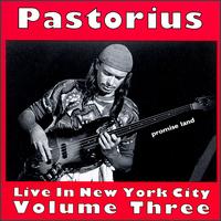 Jaco Pastorius - Live in New York City, Vol. 3: Promise Land lyrics