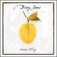 Boney James - Sweet Thing lyrics
