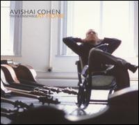 Avishai Cohen - At Home lyrics