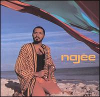 Najee - Najee's Theme lyrics