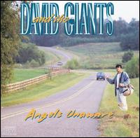 David & The Giants - Angels Unaware lyrics