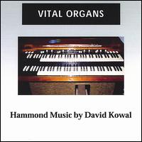 David Kowal - Vital Organs lyrics