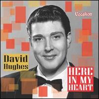 David Hughes - Here in My Heart lyrics