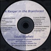 David Bluefield - Arranger in the Brainforest lyrics