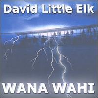 David Little Elk - Wana Wahi lyrics