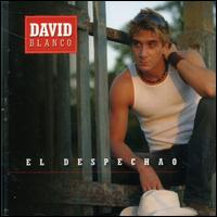 David Blanco - El Despechao lyrics