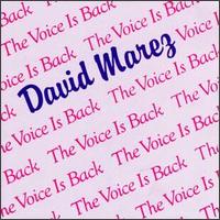 David Marez - The Voice Is Back lyrics