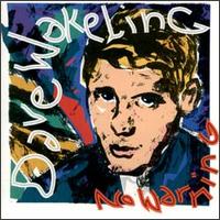 Dave Wakeling - No Warning lyrics