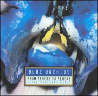 The Blue Orchids - From Severe to Serene lyrics