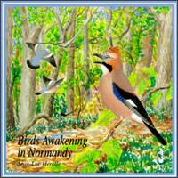 Jean-Luc Herelle - Birds Awakening in Normandy lyrics