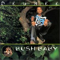 Degree - Bush Baby lyrics