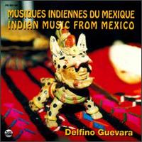 Delfino Guevara - Indian Music from Mexico lyrics