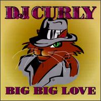 DJ Curly - Big Big Love lyrics