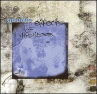 Goudie - ...Effects of Madness lyrics