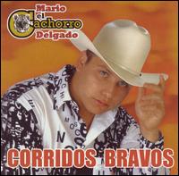Mario "El Cachorro" Delgado [Latin] - Corridos Bravos lyrics