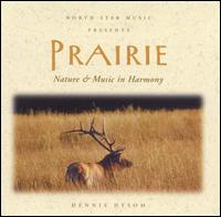 Dennis Hysom - Prairie lyrics