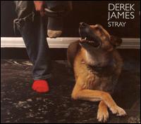 Derek James - Stray lyrics