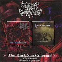 Sins of Omission - The Black Sun Collection lyrics