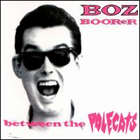 Boz Boorer - Between the Polecats lyrics