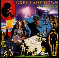 Grey Lady Down - Forces lyrics