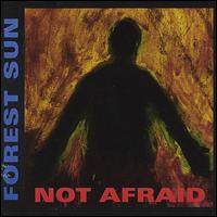 Forest Sun - Not Afraid lyrics