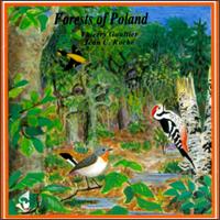 Thierry Gaultier - Forests of Poland lyrics