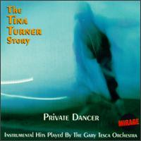 Gary Tesca - Private Dancer: The Tina Turner Story lyrics