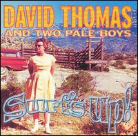David Thomas - Surf's Up! lyrics