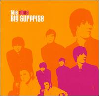 The Elms - Big Surprise lyrics