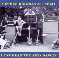 George Brigman - I Can Hear the Ants Dancin' lyrics